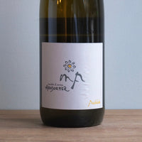 M&A Arndorfer|Ausblick NV