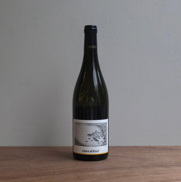 カーブドッチ｜うみがめ 2024