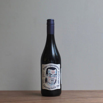 Delinquente｜ROKO IL VAGABONDO 2025