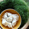 ＜季節限定＞ 餃子のかわしも｜フェンネルの水餃子 12個入